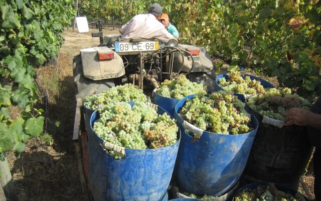 Paco de Pombeiro - Turismo de Habitacao