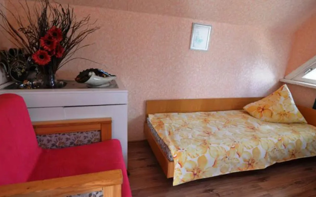 Viesu nams Burtnieki