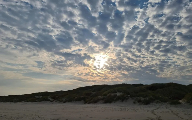 4 Star Holiday Home in Blokhus