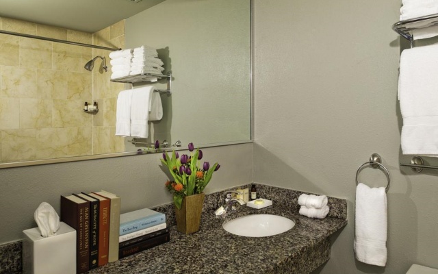 Holiday Inn Express New Orleans - St Charles (ex Modern Hotel)