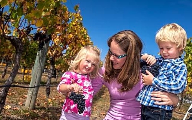 Straw Lodge Vineyard and Boutique Lodging