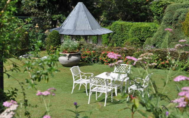 Royal Cocoon