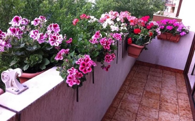 B&B Casa Mia
