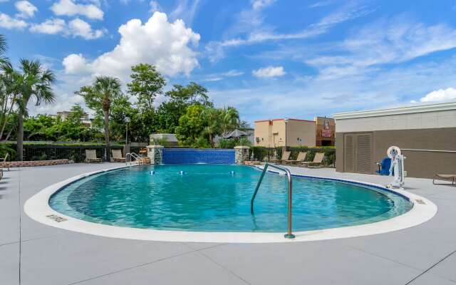 Comfort Inn & Suites St. Pete - Clearwater International Airport