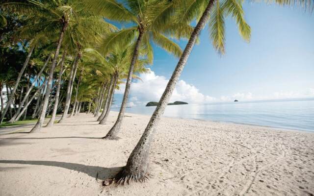 Luxury Apartment at Sea Temple Palm Cove 2 Bed 2 Bath