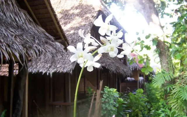 Melinda's Garden