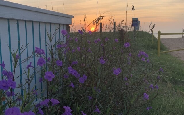 The Saint Augustine Beach House