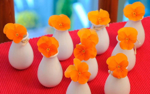 IzuKogen Petit Resort Hotel Alcyon