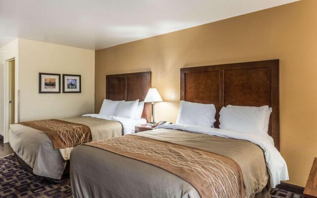 Comfort Inn & Suites North Aurora - Naperville