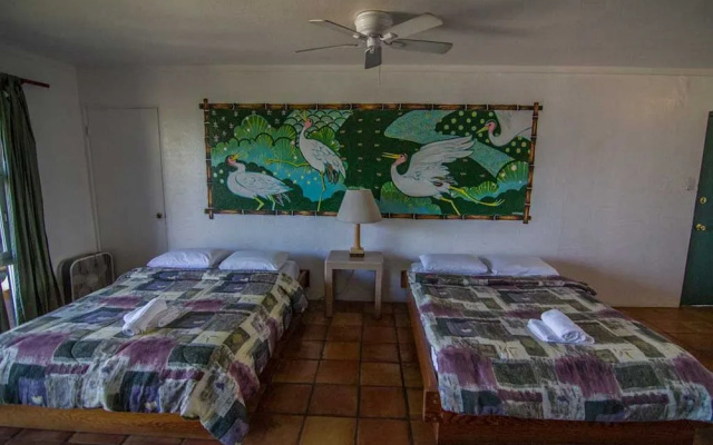 Backpackers Vacation Inn and Plantation Village