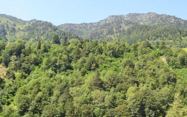 Appartement Barèges, 2 pièces, 4 personnes - FR-1-403-21