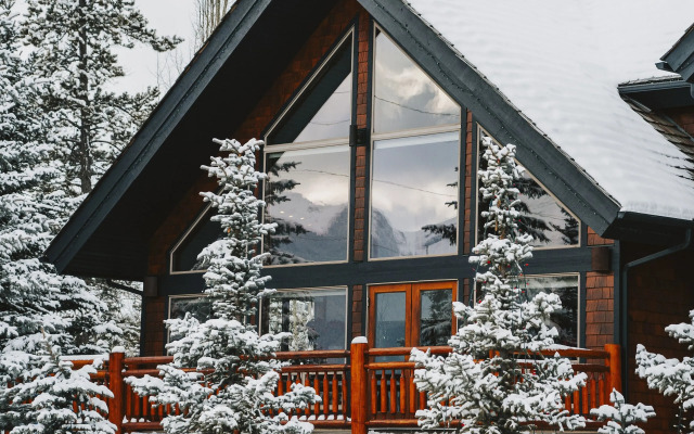 A Bear and Bison Inn