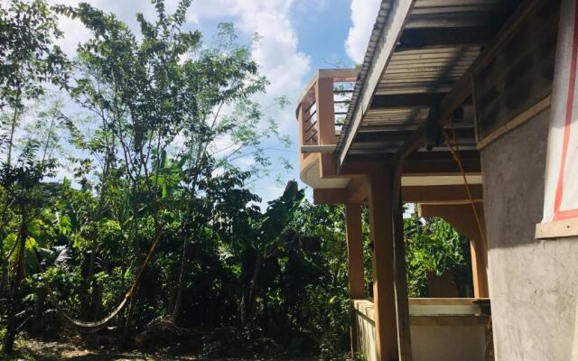 Larosa Hostel Bed And Breakfast