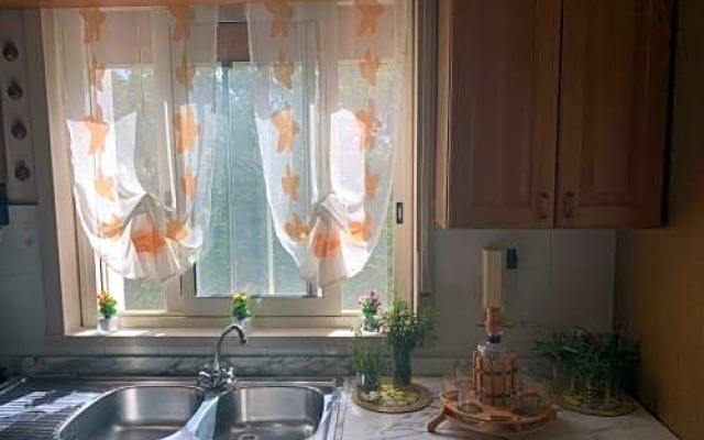 Lodico Country House