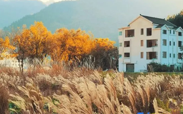 County Fruit yard home stay Xianju – Outside – Taizhou