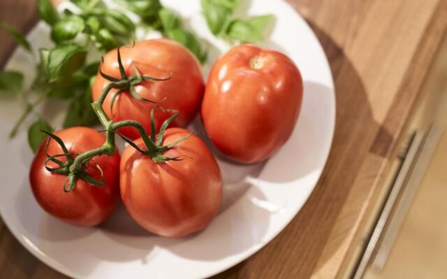 Haus Scharhoern_Riff _ Fewo 15