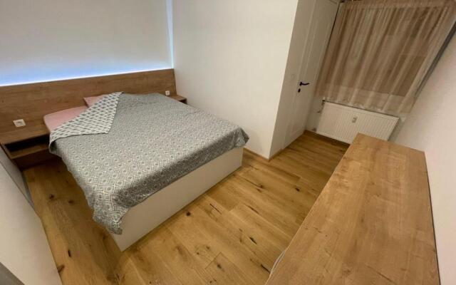 Delux apartment ARSO