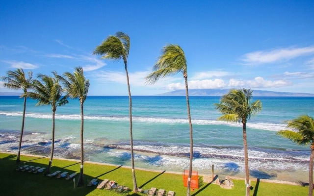 Paki Maui 127
