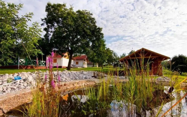 Patohill Vineyard Village