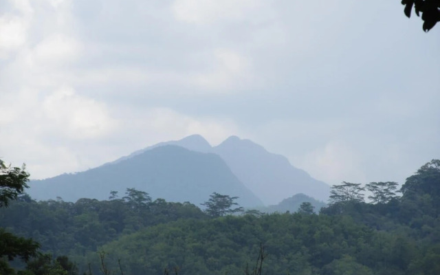 Bandura Kalawana Rainforest Bungalow