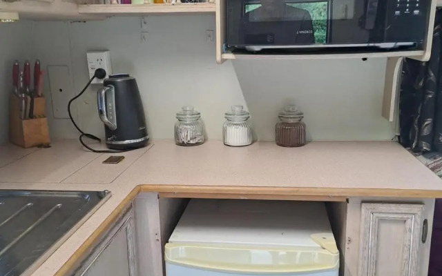Kiwi Cabin and Homestay at Koru