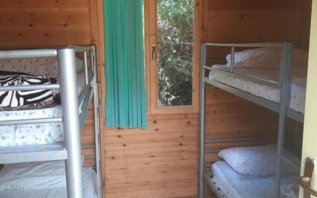 Social Camping JAL