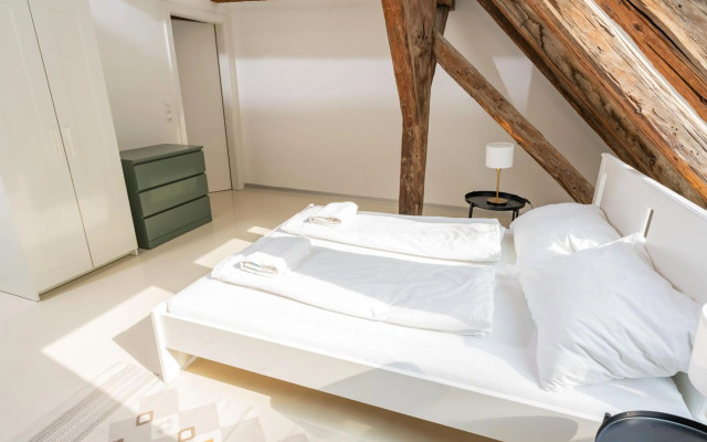 Vienna Living Apartments - Berggasse