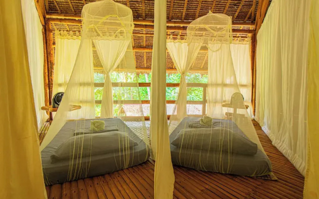 Water To Forest Ecolodge