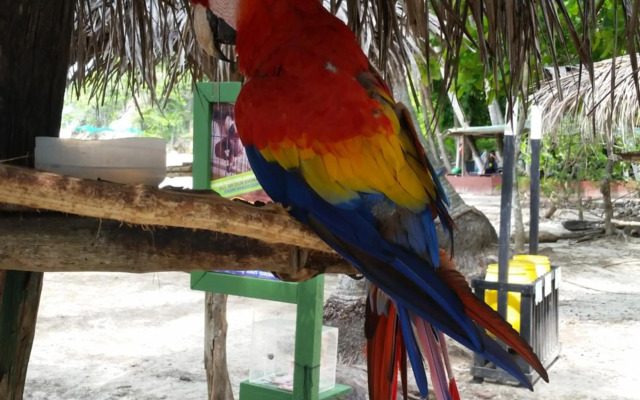 Unit 5/6 Private Apartment - Roseau