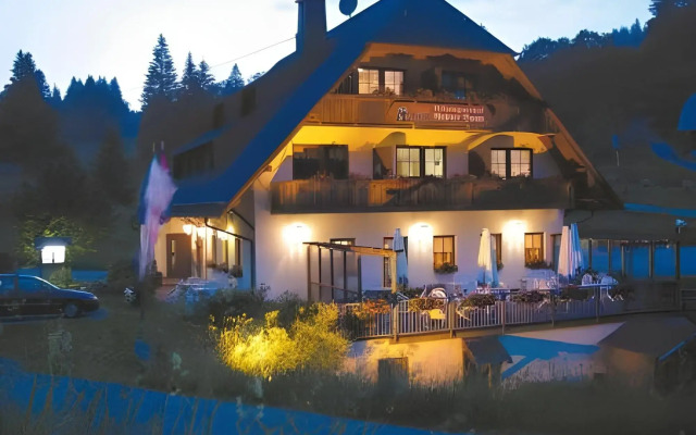 Hotel Höhengasthof Grüner Baum
