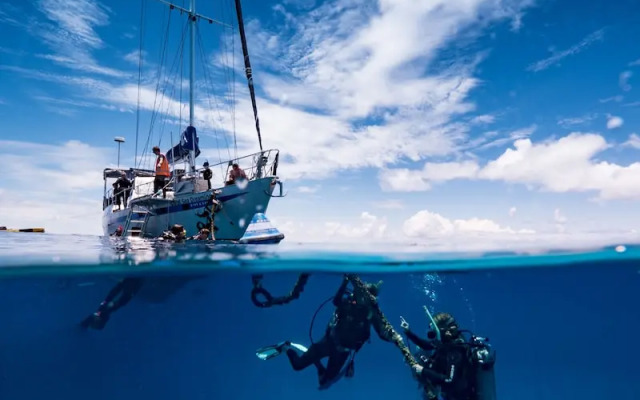 Coral Sea Dreaming Dive and Sail