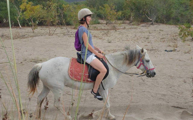 Patara Caretta Hotel