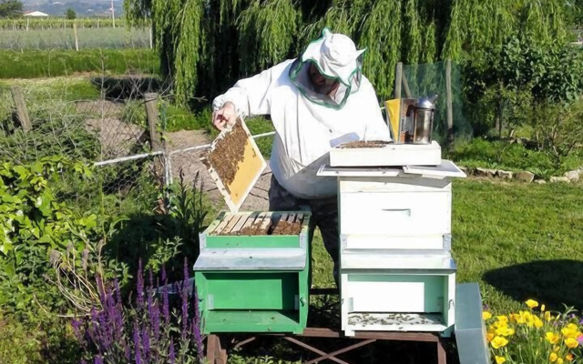 Agriturismo La Borina