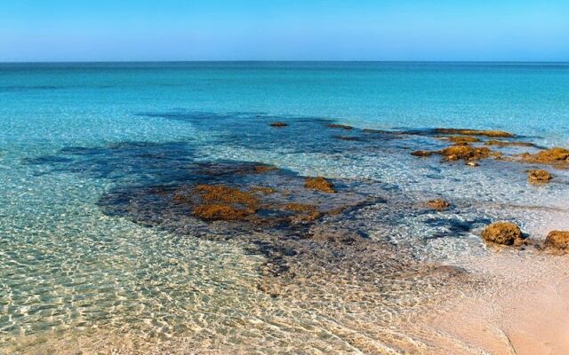 Villa Quattro Pini B&B