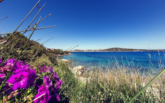 Isola dei Gabbiani - Land of Water