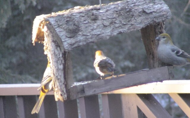 Redwood Meadows Bed and Breakfast