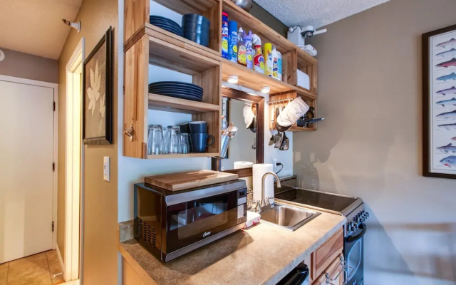 Mt Baker Lodging Condo 37 - Sleeps 2