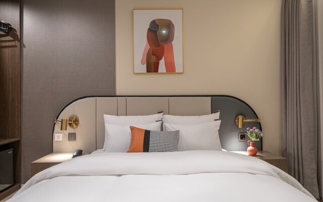Hound Hotel Turtle