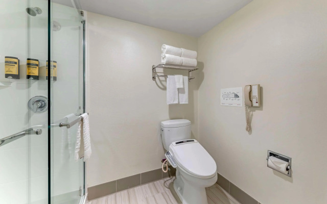 Best Western Plus Executive Inn