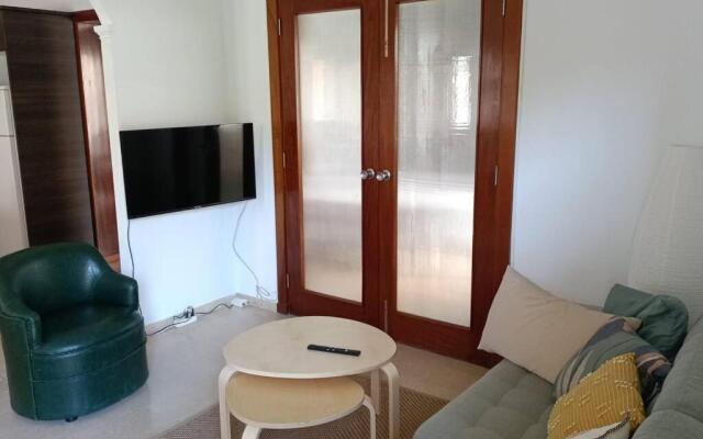 Luxury Penthouse, 50m2 terrace, downtown