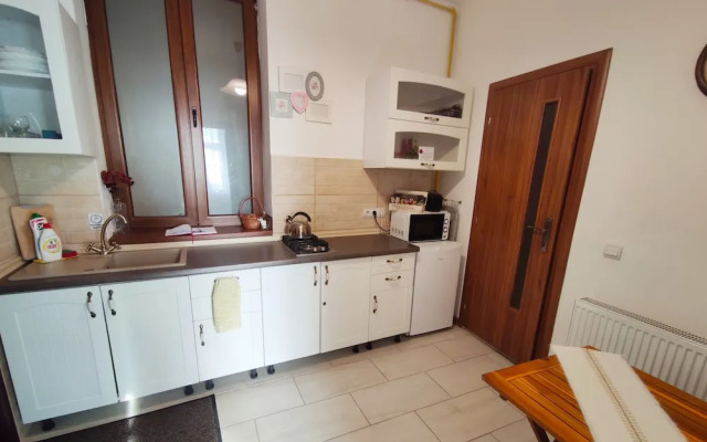 Buon Studio Sibiu, near train station and Small Square Old Town