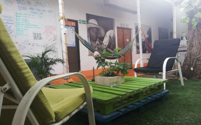 Tree House Hostel