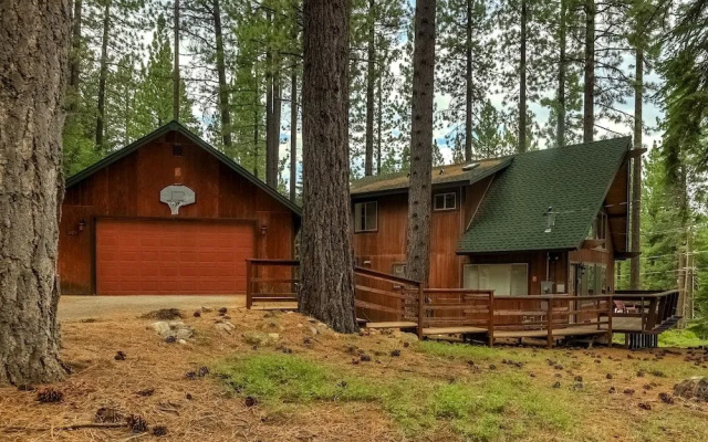 Woodland Escape - Cute Little Cabin in the Woods!