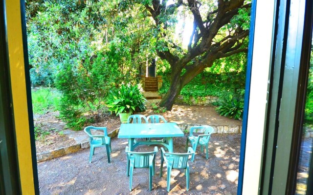 Comfortable Holiday Home In Castiglioncello With Garden