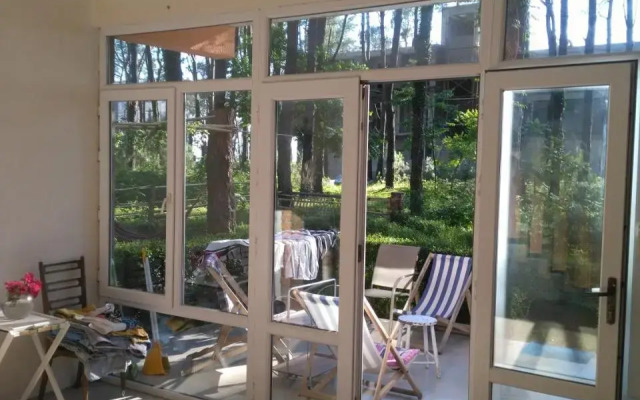 House at Shekvetili Beach