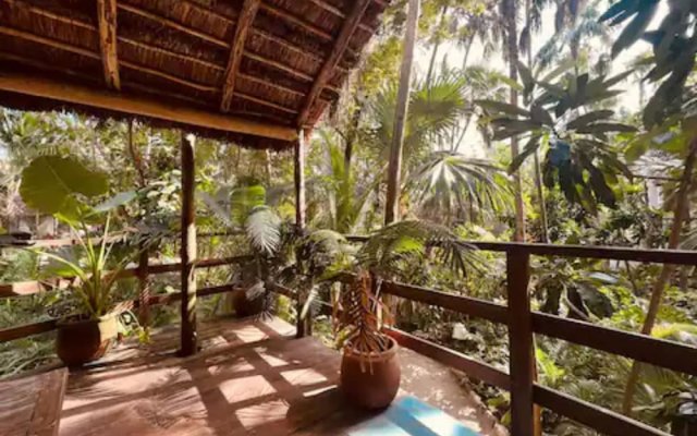Hotel Dos Ceibas Eco Retreat