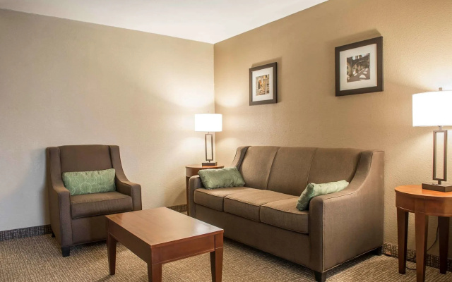 Comfort Inn Edinburg