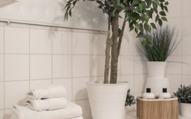 Scandinavian Apartments in City Center