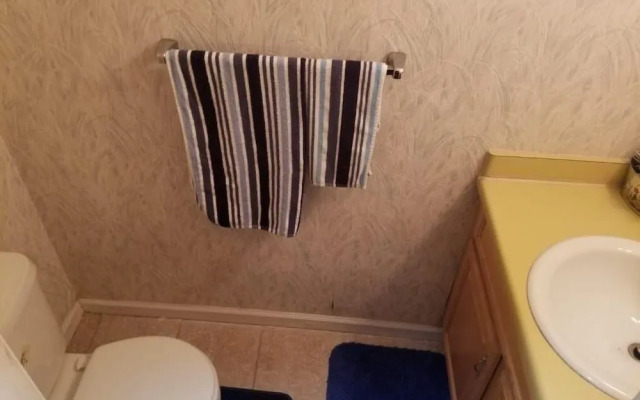 Cozy Stone Mountain Villa