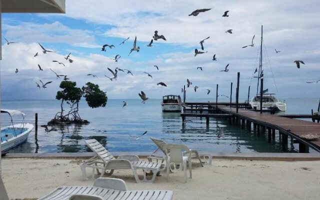 The Club At Caye Caulker